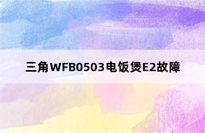 三角WFB0503电饭煲E2故障