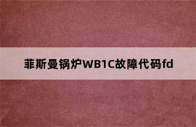 菲斯曼锅炉WB1C故障代码fd