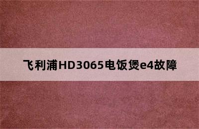 飞利浦HD3065电饭煲e4故障